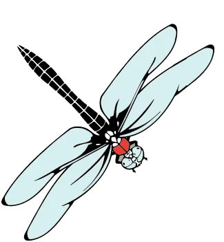 DRACO Design and Construction A dragonfly with a red eye on a white background.